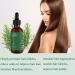 Rosemary Essential Oil Rosemary Hair Oil for Hair Growth Nourishes the Scalp Improves Hair Loss Organic Rosemary Essential Oil Stimulates Hair Growth for Eyelashes and Eyebrows - Buy Online on GoSupps.com