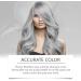HLMULL 2 in 1 Natural Extract Silver Hair Dye Natural Silver Gray Hair Dye Cream Non-stripping Color and Easy to Apply Trendy and Long Lasting - Buy Online on GoSupps.com
