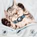Jiarui Reflective AirTag Cat Neck Band Adjustable GPS Collar for Cats & Puppies | Blue 7-9 Inch - Buy Online on GoSupps.com