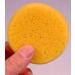 Creative Hobbies 10 Pack of 3-1/2 Inch Round Synthetic Silk Sponges for Painting Crafts and More - Buy Online on GoSupps.com