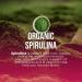 Degen Health Energy Focus Drink Mix | Watermelon | 15 Ct. | Beet Extract Green Tea Caffeine Lions Mane Shiitake Extract Green Spirulina Astragalus Root | Complete Adaptogen & Superfood Formula - Buy Online on GoSupps.com