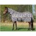 Paddock fly sheet COMFORT PRO ZEBRA 125 +