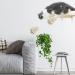 XIDAJIE Cat Wall Shelf - Wall-Mounted Furniture with Sisal Rope Scratching Steps for Climbing and Playing - Buy Online on GoSupps.com