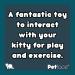 Petface Catnip Butterfly Teaser - Fun Interactive Toy for Cats - Buy Online on GoSupps.com