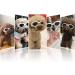PEDOMUS Dog Sunglasses - UV Protection & Waterproof for Small & Medium Dogs | Adjustable Strap | White - Buy Online on GoSupps.com