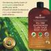 Natural Body Wash for Body Odor, Athlete's Foot, Jock Itch, Nail Issues | Shower Gel for Women & Men | 16 fl oz (Tea Tree, Lemon Grass, Clary Sage) - Buy Online on GoSupps.com