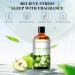 PHATOIL Green Apple Fragrance Oil for Aromatherapy & DIY Products - 100ml (Pack of 1) - Buy Online on GoSupps.com