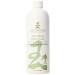Jadience Body or Foot Detox Soak - Helps Improve Internal Organ Function to Naturally Draw Toxins from The Body 16 Oz