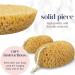 2-Piece Peeling Shower Sponge Set | Gentle Exfoliation for Soft Smooth Skin | Ideal for Sensitive Skin - Buy Online on GoSupps.com