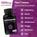 Echinacea Goldenseal 1000mg with Elderberry, Vitamin C, Zinc & Ginger | Immune Boost Vegan Capsules | Premium Echinacea Root Supplement - Buy Online on GoSupps.com