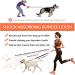 Pet Room Jogging Leash for Dogs - Reflective & Elastic Belt for Running Hiking | Perfect for Large & Medium Dogs - Buy Online on GoSupps.com