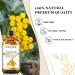 EUQEE Blue Tansy Essential Oil 118ml - Pure Natural Aromatherapy Oil for Diffusers, Home Humidifiers, Relaxation - 1 Pack - Buy Online on GoSupps.com