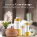 Plant Guru China Musk Fragrance Oil 4 fl. oz - Perfect for DIY Soap Candles Bath Bombs & Aromatherapy | International Shipping - Buy Online on GoSupps.com