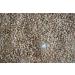 Global Choice Brown Lentils 4 Lbs - Buy Online on GoSupps.com