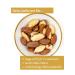 Organic Brazil Nuts 500g | Premium Freshly Filled Natural Nuts from Jalall D'or | International Shipping - Buy Online on GoSupps.com