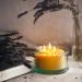 Buy Bluecorn Botanica Beeswax Candle - 3-Wick Pure Beeswax & Vanilla Scented Candle | International Shipping Available - Buy Online on GoSupps.com