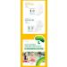 Womens's Sanitary Napkins with Wings - Medium Size, Unscented & Absorbent - Korean Pad - Buy Online on GoSupps.com