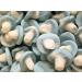 Roch Sweets Blue Bubblegum mushroom foam sweets (400g) - Buy Online on GoSupps.com