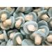 Roch Sweets Blue Bubblegum mushroom foam sweets (400g)
