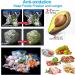 Sous Vide Bags 42 PCS Electric Vacuum Sealer Set | Reusable Vacuum Sealer & Food Storage Bags for Anova Joule Cookers | Includes 30 Reusable Sealer Bags, 5 Clips, 5 Sealing Clips | Rechargeable Vacuum Sealer System - Buy Online on GoSupps.com
