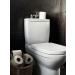 DUMP ZONE Toilet Freshening Powder Natural Ingredients Lemon Scent 2 x 100gm - Buy Online on GoSupps.com