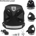 Buy Bojly Cat Dishes with Leash | Outbreak-Proof Safety Harness & Anti-Lost Bell for Dogs & Cats - Buy Online on GoSupps.com
