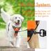 Rabbitgoo Medium Dog Harness - No Pull Adjustable Breathable Control & Safety | Perfect for Large Dogs - Orange - Buy Online on GoSupps.com