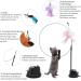 Caliyo Interactive Cat Toys with Suction Cup | Funny Birds & Feathers | Intelligence Toys for Cats - Buy Online on GoSupps.com