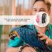 Hemobllo Parrot Flight Suit Bird Flight Suit Dress Parrot Washable Diaper Nappies Cockatiel Flight Suit Pet Bird Macaw Bird Costume Parakeet Nappy Budgie Nappy Suede Pink Clothing - Buy Online on GoSupps.com