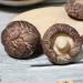 Shiitake Mushroom Dried Xianggu (1000g(2.20pounds)) - Buy Online on GoSupps.com