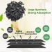 E-HORDE Natural Bamboo Charcoal Bags Air Purifying Bag Charcoal Odor Eliminators for Home Car Bedrooms Kitchen Bathroom Fridge Closet Shoes and Pet Areas (1) - Buy Online on GoSupps.com