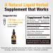 Cedar Bear Lion's Mane Mushroom Supplement 2 fl oz - All-Natural Brain Booster for Memory, Focus & Immune Support - Buy Online on GoSupps.com