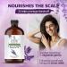 Lavender Essential Oil - Premium 4 Oz Undiluted for Aromatherapy & Diffuser | International Shipping - Buy Online on GoSupps.com