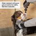 PetFusion Multipurpose Pet Glove for Grooming, Vet Trips & Handling - Medium, Grey - Buy Online on GoSupps.com