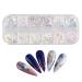 Nail Art Glitter Flake Nail Art Foil Flake Shining Holographic 12 Grids Nail Glitter Flake for Summer Nail Art Decoration Nail Foil Flakes