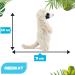 Zappi Co Meerkat Plush Toy - 20cm Height | Ultra Soft & Lifelike | Eco-Friendly Newborn Gift - Buy Online on GoSupps.com