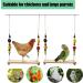 QIODAZOO Chicken Swing Perch Natural Wood Hanging Swing Toys for Chicken Coop/Birdcage Bird Swing Large for Hens Parakeets Macaw - Buy Online on GoSupps.com