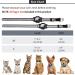 Reflective AirTag Cat Collar with Bell - GPS Leather Collar for Girl Boy Cats & Kittens 7-9 Inch - Integrated Apple AirTag Holder - Blue - Buy Online on GoSupps.com