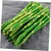 HOMSFOU 40 Pcs Simulated asparagus ornaments rustic decor plastic flower vase cabinet decor vegetable fruit ornament decorative vegetables lifelike Simulated Asparagus Models cupboard fake - Buy Online on GoSupps.com