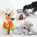 Cute Plush Dog Squeaky Toys 12PCS for Small Medium Puppies - Chew Toys Combo - Buy Online on GoSupps.com