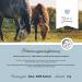 Annimally Horse Vitamin E Lysine & Selenium Powder - 2kg Refill for Muscle Support & Performance - Buy Online on GoSupps.com