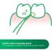 Gum Soft Picks - Advanced Interdental Cleaner for Gentle & Effective Cleaning | 3x60 Medium Size | International Shipping Available - Buy Online on GoSupps.com