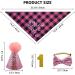 Dog Birthday Party Supplies - Girl Dog Birthday Bandana & Hat Set in Pink - Buy Online on GoSupps.com