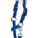 Buy RL24 Halter with Plush Padding | BASICLINE - 6 Colors for Shetland Pony Thoroughbred & Warmblood - Royal Blue - Buy Online on GoSupps.com