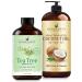 Handcraft Blends Purifying Body Set: Fractionated Coconut Oil (16 Fl Oz) and Tea Tree Essential Oil (4 Fl Oz) 100% Pure & Natural for Clean Skin Feet and Scalp
