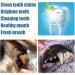 2Pack Pets Dog Teeth Cleaning Pen Teeth Cleaning Pen Dogs Cats Natural Remover Tool Plaque Remover Natural Plants Teeth Repairing and Fresh Breath - Buy Online on GoSupps.com