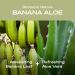 Hey Humans Banana Aloe Vegan Deodorant | Coconut Oil & Shea Butter | Aluminum-Free, All Day Odor Protection | Earth-Friendly 2 oz - Pack of 3 - Buy Online on GoSupps.com