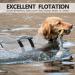 Queenmore Dogs Wowers - RipStop Dog Life Jacket | Knuffelwuff Wallpasting for Medium & Large Dogs - Safe Kayaking & Swimming (Gray) - Buy Online on GoSupps.com