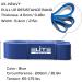Pull Up Resistance Bands Set - Assist Exercise Bands for Stretching Mobility & Resistance Training - Long Workout Bands in Blue - Buy Online on GoSupps.com