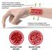 Buy Biancat ProstaPower Magnetic Copper Band | AEXZR & Oveallgo Prostate Bands for Men & Women - Black & Gold - International Shipping Available - Buy Online on GoSupps.com